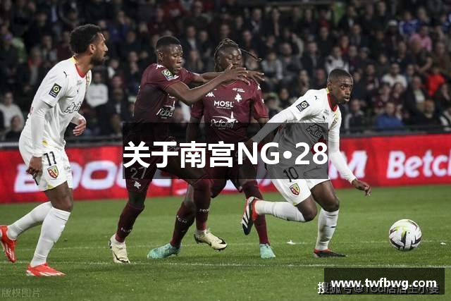 关于南宫NG·28